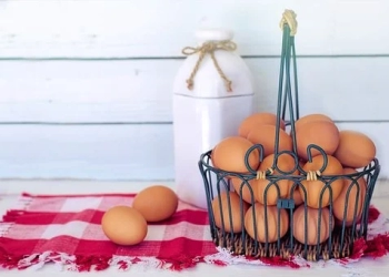 Simpan Telur dengan Benar Agar Gizinya Terjaga