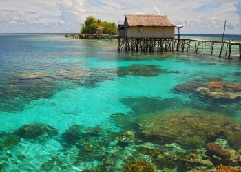 Tomini Bay Surganya Pecinta Diving
