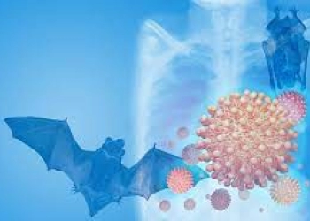 Virus Zoonosis Langya Bisa Ditularkan dari Hewan ke Manusia Ditemukan di China