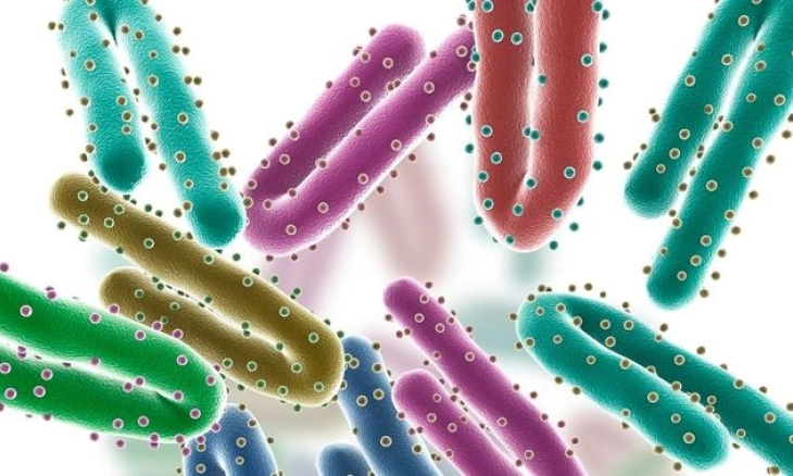 Waspadai Virus Marburg yang Mematikan, Kenali Gejalanya