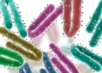Waspadai Virus Marburg yang Mematikan, Kenali Gejalanya