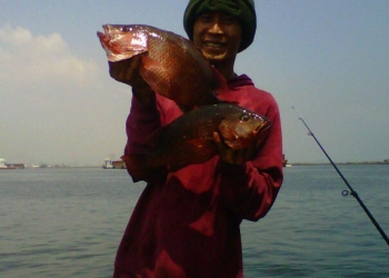 Tips dan Trik yang harus Diketahui Saat Memancing Dipinggir Laut, Patut Dicoba!